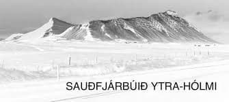 Sauðfjárbúið Logo