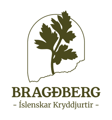 Bragðberg Logo