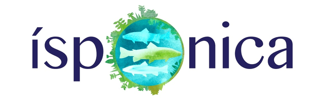 Ísponica Logo