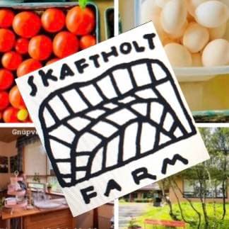 Skaftholt Logo