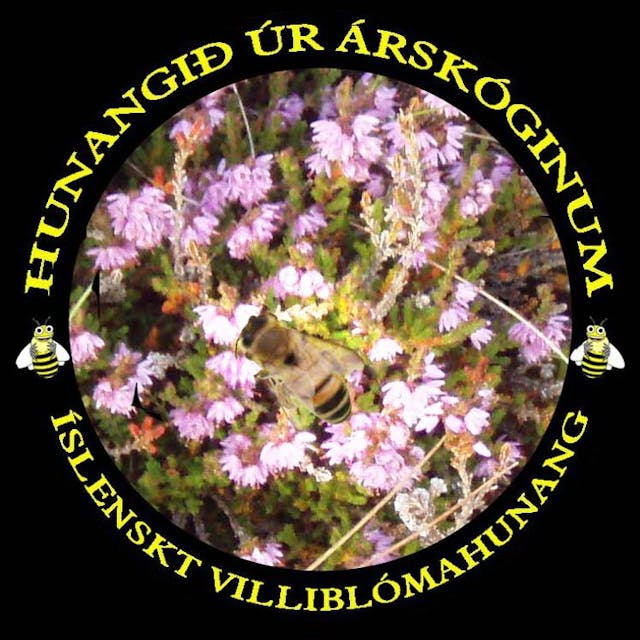 Hunangið úr Árskóginum - Krukkur og kruðerý Logo